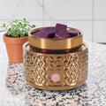 Golden Luxe 4-in-1 Luxury Wax Warmer